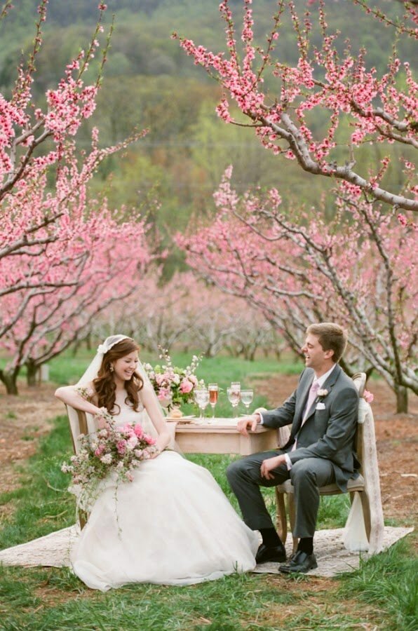 cherry-blossom-wedding-decoration-2